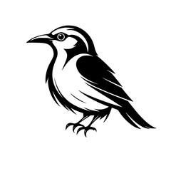 Majestic Bird Silhouette: Elegant Black and White Avian Vector Graphic