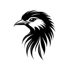 Fototapeta premium Majestic Bird Profile: Elegant Black and White Avian Vector Illustration