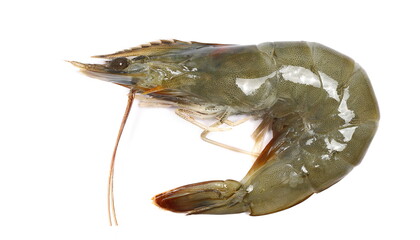Raw fresh prawn or shrimp isolated on white, top view 

