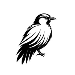 Elegant Bird Silhouette: Black and White Avian Vector Graphic