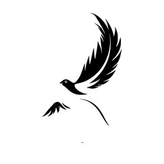 Elegant Black and White Bird in Flight: A Symbol of Peace and Freedom