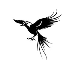 Majestic Bird in Flight: A Black and White Vector Illustration of an Avian Silhouette with Elegant Wings and Feathers