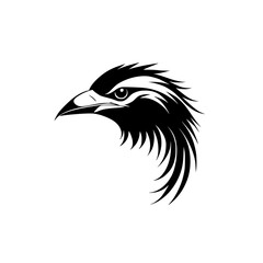 Fototapeta premium Majestic Bird of Prey: Eagle Head Profile Vector Graphic