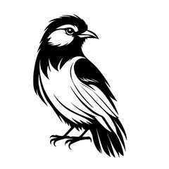 Fototapeta premium Majestic Bird: Black and White Avian Vector Illustration. Perfect for nature lovers and graphic design projects. This elegant and stylish monochrome artwork is a timeless piece.