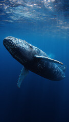 Naklejka premium aggressive blue whale 