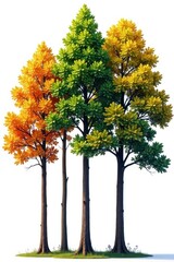 Group of Tall Trees on White Background, branches, outdoor scene, trees