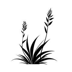 Obraz premium Elegant Black and White Plant Silhouette: Minimalist Botanical Illustration