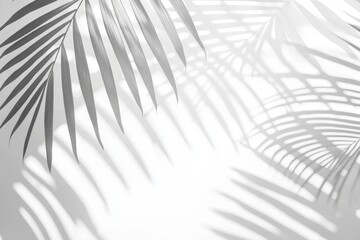 Delicate shadows of palm leaves cast intricate patterns on a white surface, evoking a sense of tranquility and tropical elegance. The play of light and shadow creates a serene atmosphere