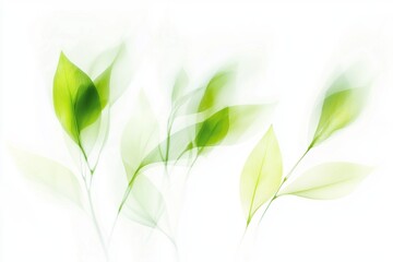 Green leaves growing on branches symbolize sustainability and environmental awareness, promoting ecological balance and responsible resource management for a greener future