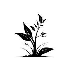 Elegant Plant Silhouette: Black and White Botanical Vector Illustration. Simple, Minimalist Floral Design, Perfect for Nature-Inspired Projects.