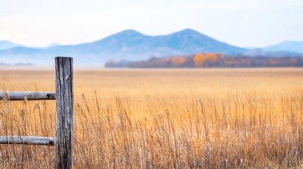 Autumnal field, mountains, fence, sunrise.  Peaceful landscape, nature photography