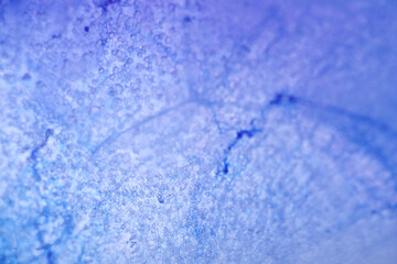 Macro texture of frozen butterfly pea flower water