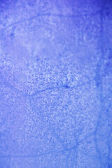 Macro texture of frozen butterfly pea flower water