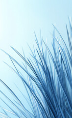 Obraz premium Close-up of blue grass blades against a soft blue background, creating a serene and tranquil atmosphere