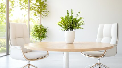 Modern office meeting room with plants, sunlight, and two chairs