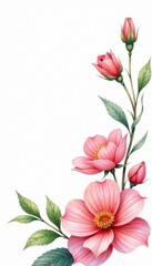 Delicate floral watercolor design on a white background, garden, illustration