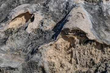 Lāʻie Point State Wayside, North Shore, Oahu, Hawaii. Older dune deposits