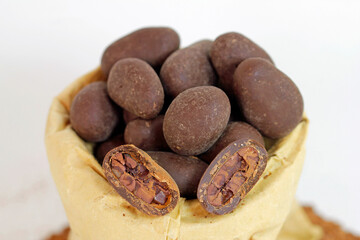 chocolate and cocoa beans