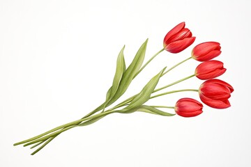 A vibrant bouquet of red tulips with green leaves arranged elegantly on a white background