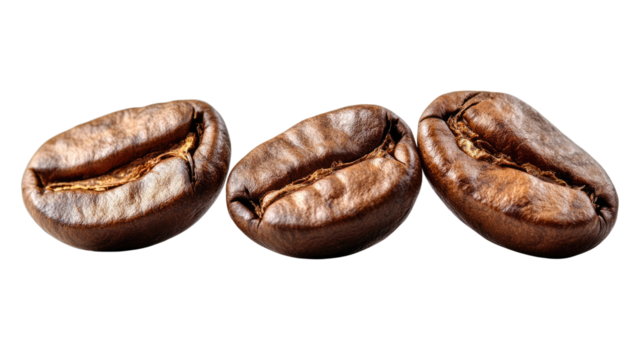Coffee Bean Trio: Three roasted coffee beans in a row, showcasing their rich brown color and intricate texture. This image captures the essence of coffee, promising a burst of aroma and flavor. 