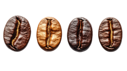 Coffee Bean Roasting Stages: A quartet of coffee beans showcase the captivating journey from green to dark roast. Each bean reveals a unique hue.