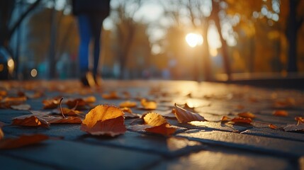 Autumnal Stroll: Golden Leaves at Sunset