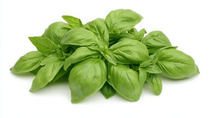 Fresh basil leaves, vibrant green, ready for cooking.