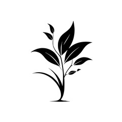 Elegant Black and White Plant Silhouette: Minimalist Botanical Illustration