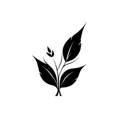 Elegant Black and White Plant Leaves Illustration: Minimalist Botanical Design