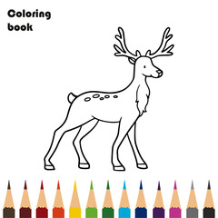 deer coloring book pencils design