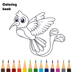 bird coloring book pencils design