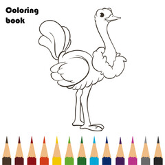 bird coloring book pencils design
