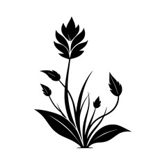 Elegant Black and White Floral Silhouette: Botanical Vector Design for Decor