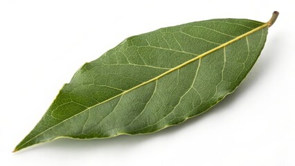 Obraz premium Single Bay Leaf on White Background