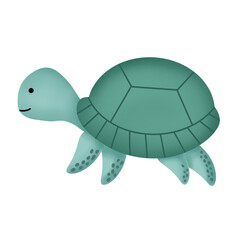 Turtle illustration transparent background