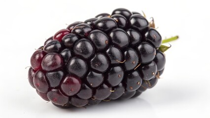 Single Blackberry on White Background