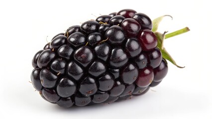 Single Blackberry on White Background
