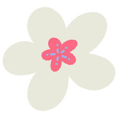 Cute flowers floral