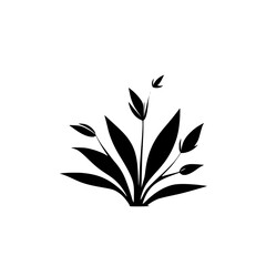 Elegant Black and White Floral Illustration: Minimalist Plant Design, Botanical Silhouette, Nature Graphic