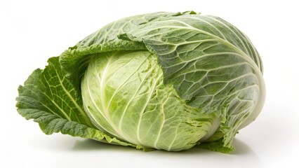 Fototapeta premium Green Cabbage on White Background