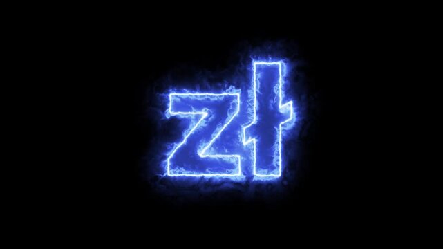 currency  symbol animation 
