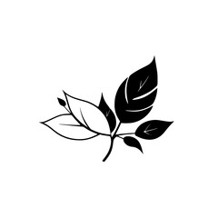 Monochrome Botanical Illustration: Elegant Black and White Leaves Design.  Perfect for minimalist nature-themed projects, adding a touch of sophisticated style.