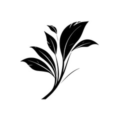 Elegant Black and White Botanical Illustration: Simple Leaf Branch Design. Perfect for minimalist decor, nature-inspired projects, and stylish graphic designs.