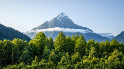 Fototapeta premium Majestic snow-capped mountain peak overlooking lush green forest valley at dawn; scenic wallpaper