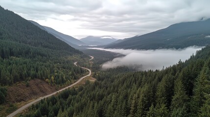 Winding mountain road through misty valley, lush green forest, aerial view.