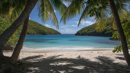 Secluded Tropical Beach Paradise: Unveiling the Tranquility of a Hidden Cove