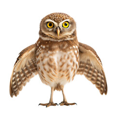 Fototapeta premium Burrowing Owl AI Generated Image