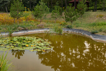 
Artificial pond with lily pads floating on the water surrounded by grass, wildflowers, and small...