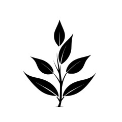 Elegant Black Plant Silhouette: Minimalist Botanical Vector Illustration. Perfect for nature-themed designs, logos, and decorations.