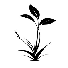 Elegant Black and White Plant Silhouette: Minimalist Botanical Illustration